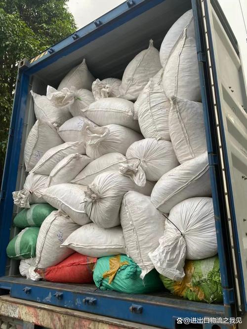 越南货物进出口运输服务 需求与运力供给的战略\u5bf9\u63a5